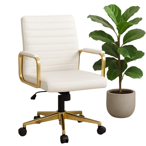 Elegant Furniture
