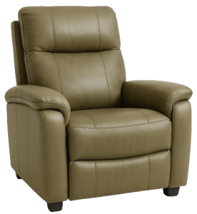 Reclining Chair